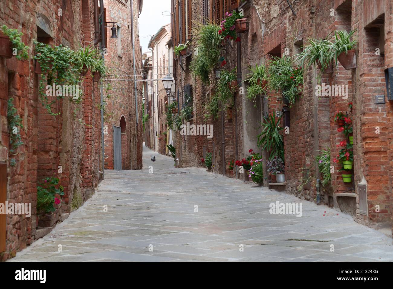 Torrita di Siena, ville historique de Toscane, Italie Banque D'Images