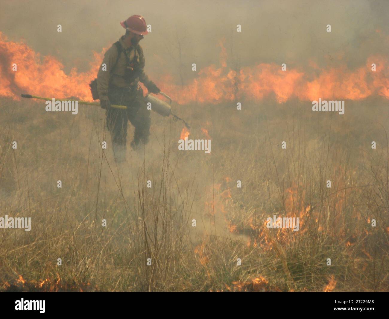 Un pompier du refuge national de recherche de Patuxent allume un brûlage contrôlé pour maintenir des écosystèmes de prairies sains et soutenir les populations d'oiseaux. Cette pratique de gestion des incendies restaure l'habitat des prairies et favorise la biodiversité. Banque D'Images