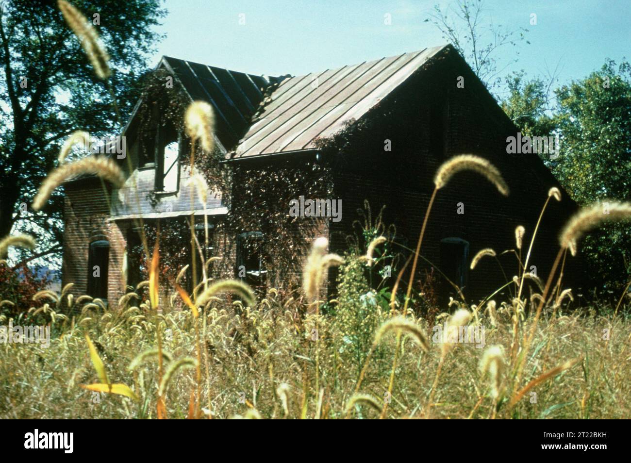 La Old House, près de la réserve naturelle nationale Mark Twain dans le Mississippi, est entourée de zones humides luxuriantes, offrant des possibilités d'observation des oiseaux, de pêche et de chasse. C'est un endroit de choix pour les loisirs et l'éducation de la faune. Banque D'Images