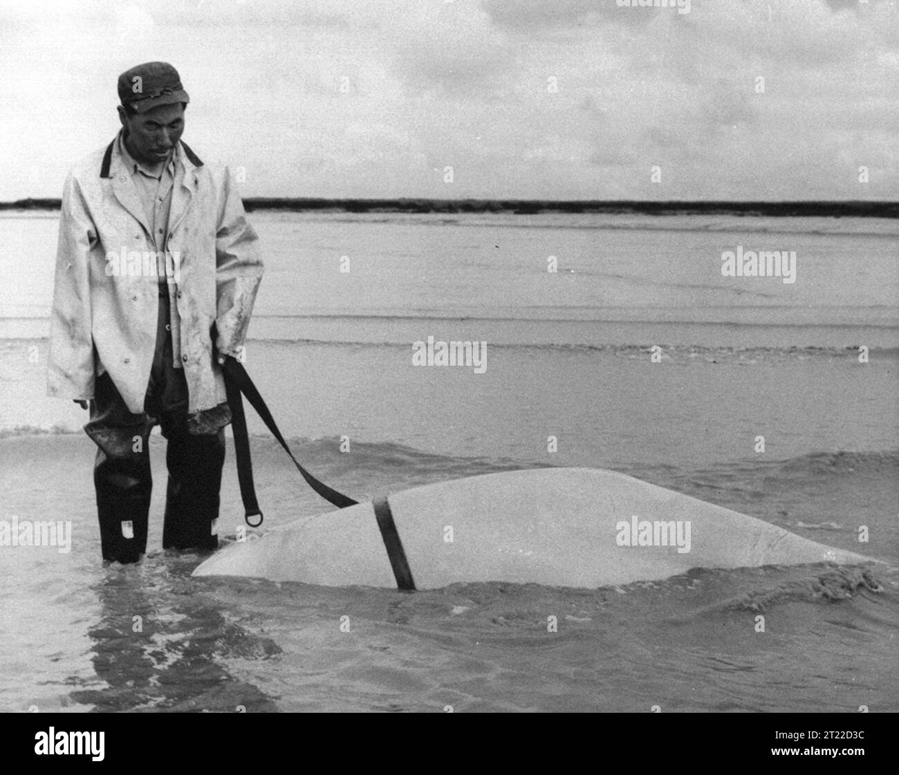 Créateur : Lensink, Dr. Calvin J. sujets : Amérindiens ; subsistance ; chasse aux baleines ; ARLIS ; Alaska. . 1998 - 2011. Banque D'Images