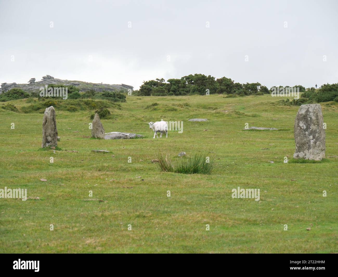 Les Hurlers Stone Circles sont des cercles de pierre de l'âge de pierre sur Bodmin Moor près de Minions Banque D'Images