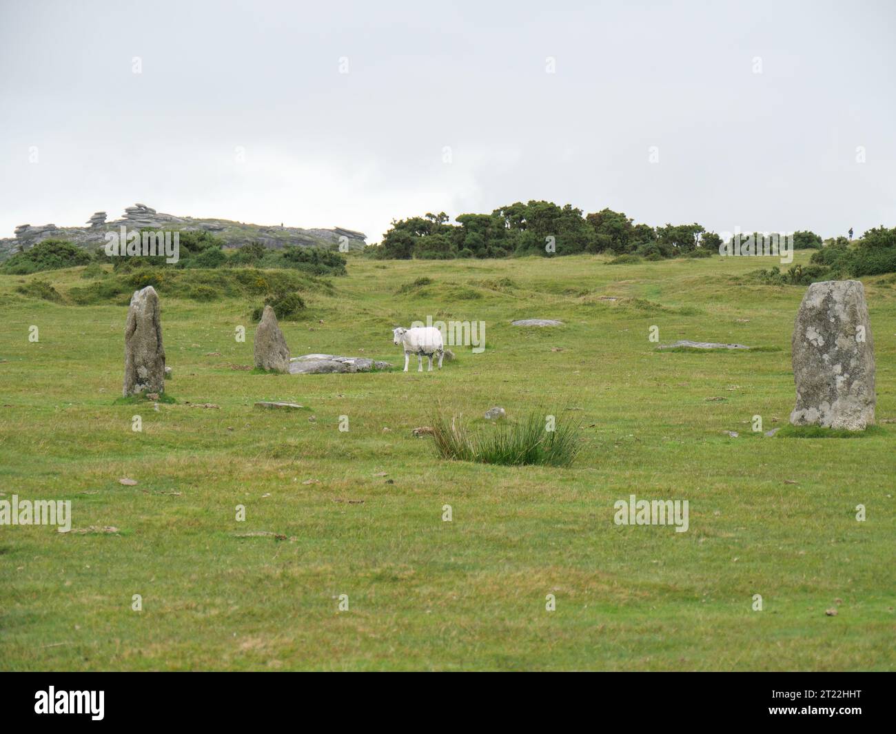 Les Hurlers Stone Circles sont des cercles de pierre de l'âge de pierre sur Bodmin Moor près de Minions Banque D'Images