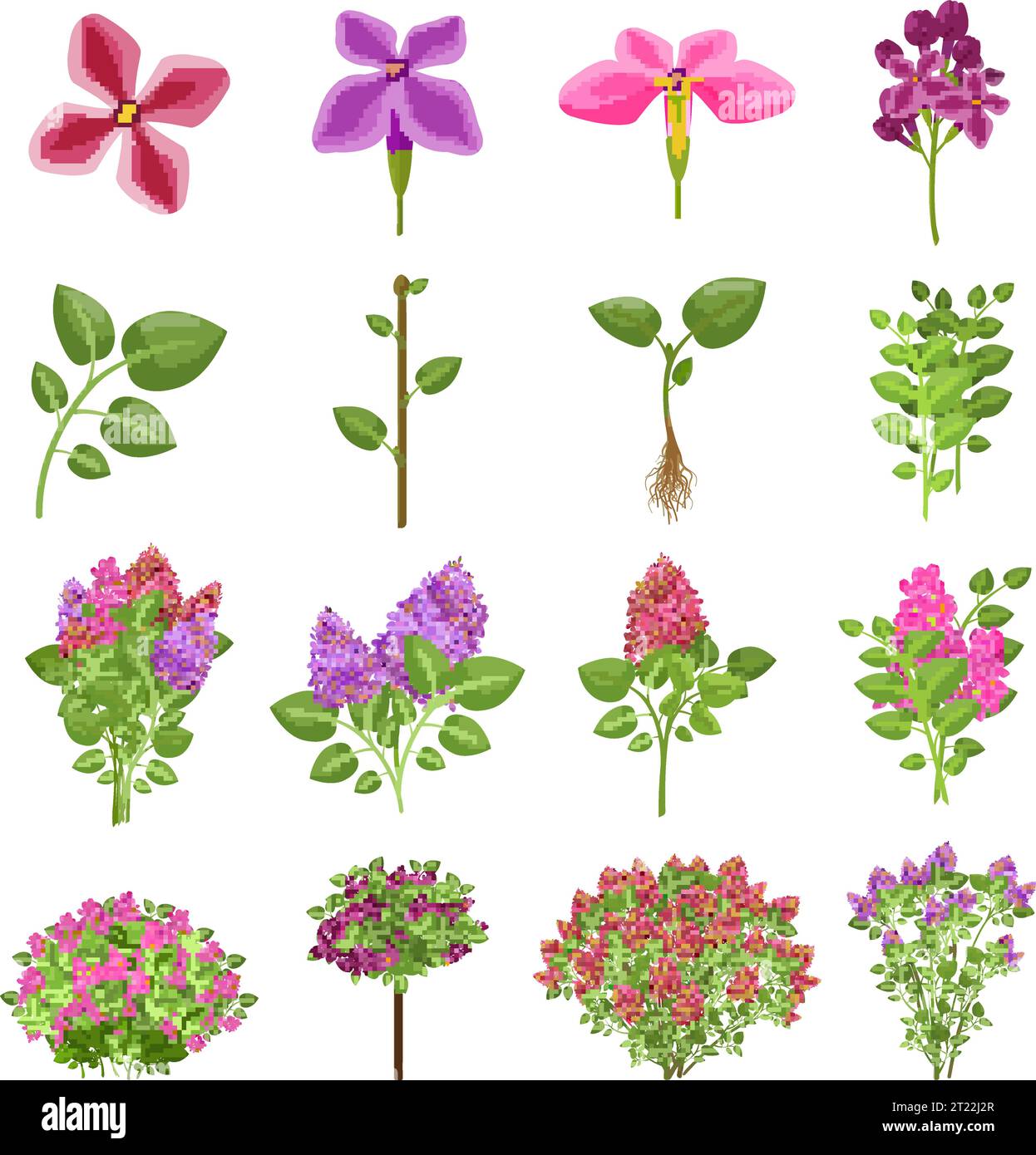 Icônes lilas définir vecteur de dessin animé. Plante à fleurs Illustration de Vecteur
