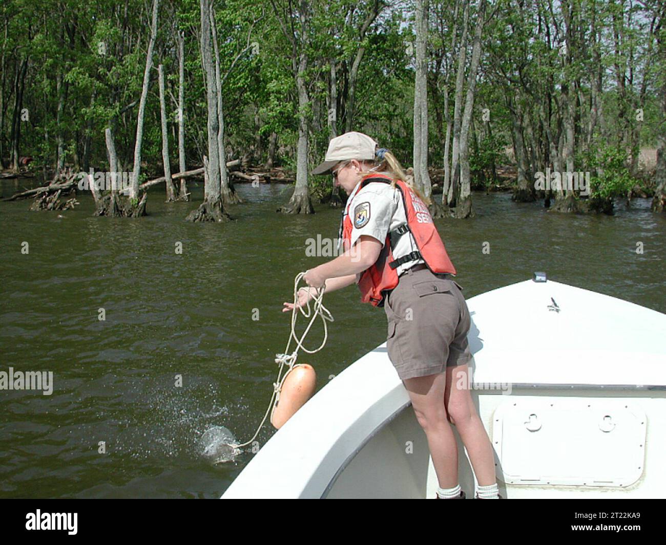 IMAGE ÉLECTRONIQUE UNIQUEMENT (pas de diapositive disponible). Note descriptive : le marais de dyke est un marais marécageux de 380 acres juste au sud d'Alexandria, va, et au nord de l'historique Mount Vernon. Situé sur la rive ouest du fleuve Potomac à environ 95 miles de la baie de Chesapeake, il se compose de marais de marée, de plaine inondable et de forêt marécageuse. Mana. Sujets : gestion des pêches ; gestion de la faune ; électronique. . 1998 - 2011. Banque D'Images