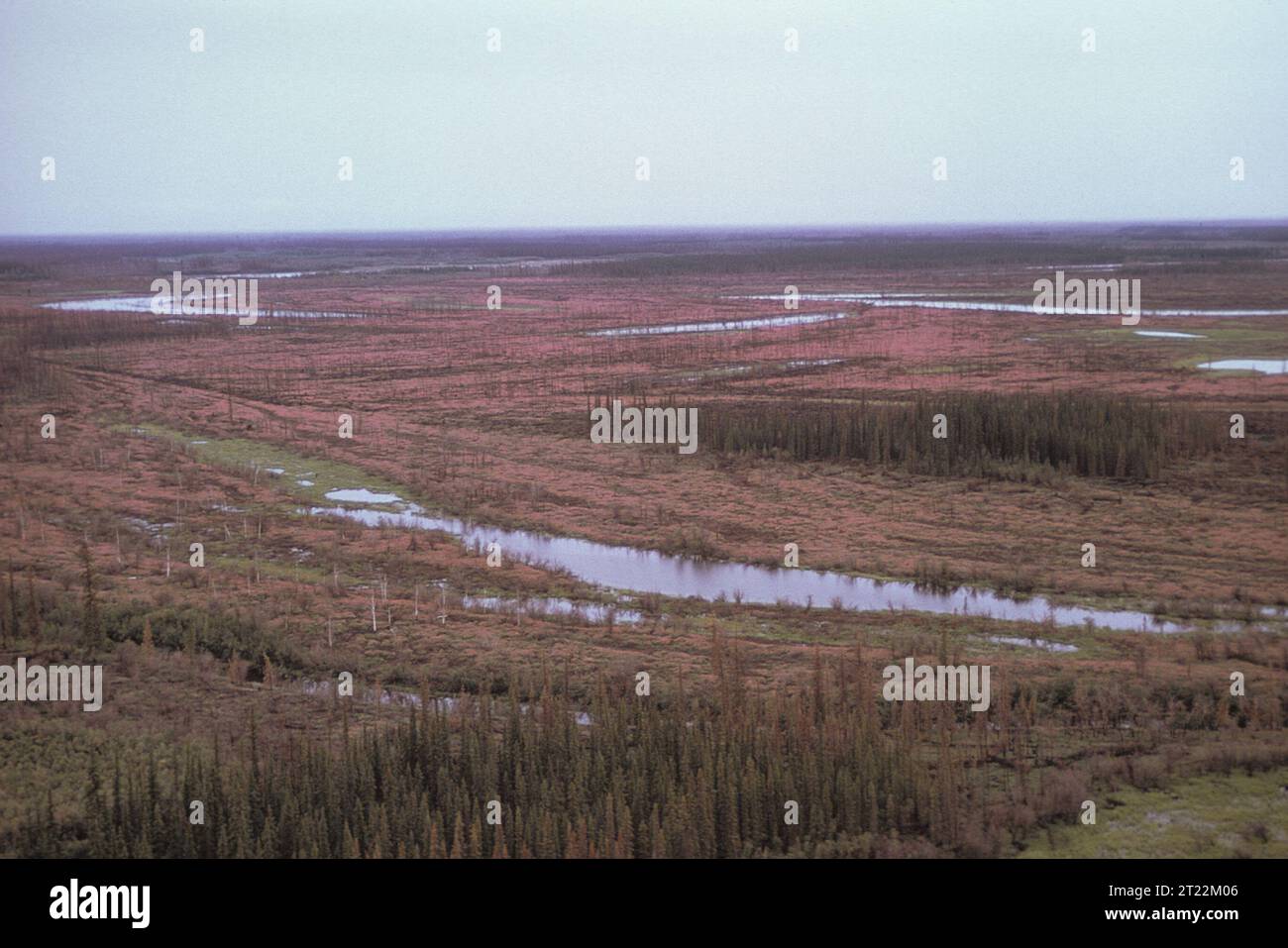 Vue aérienne du refuge. Sujets : refuges fauniques ; Scenics ; refuges fauniques. Localisation : Alaska. Site du Fish and Wildlife Service : YUKON FLATS NATIONAL WILDLIFE REFUGE. . 1998 - 2011. Banque D'Images