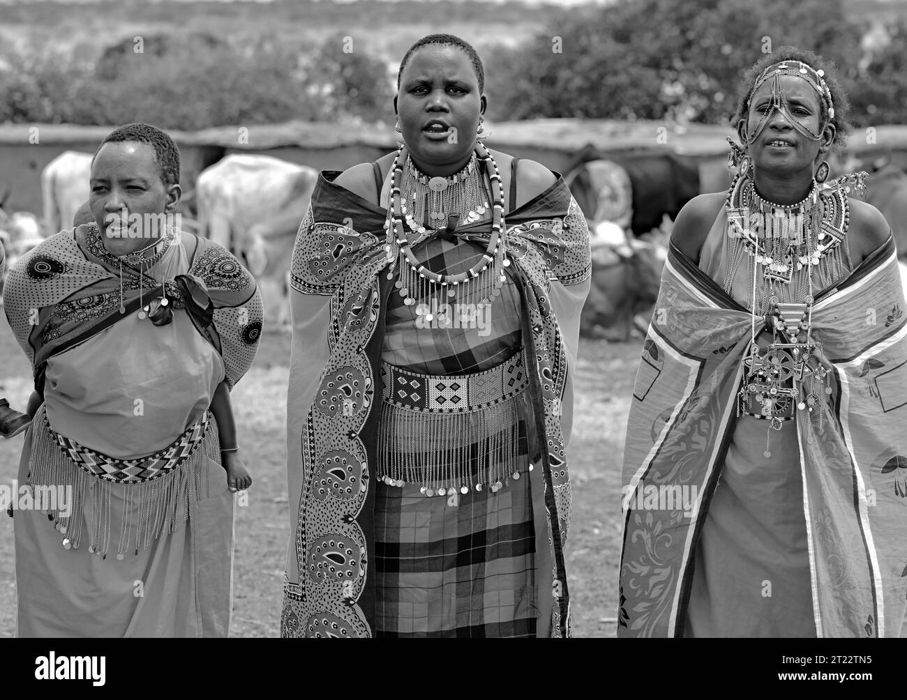 Peuple tribal de Maasai Mara divertissant les visiteurs avec leurs coutumes traditionnelles dans leur village Banque D'Images