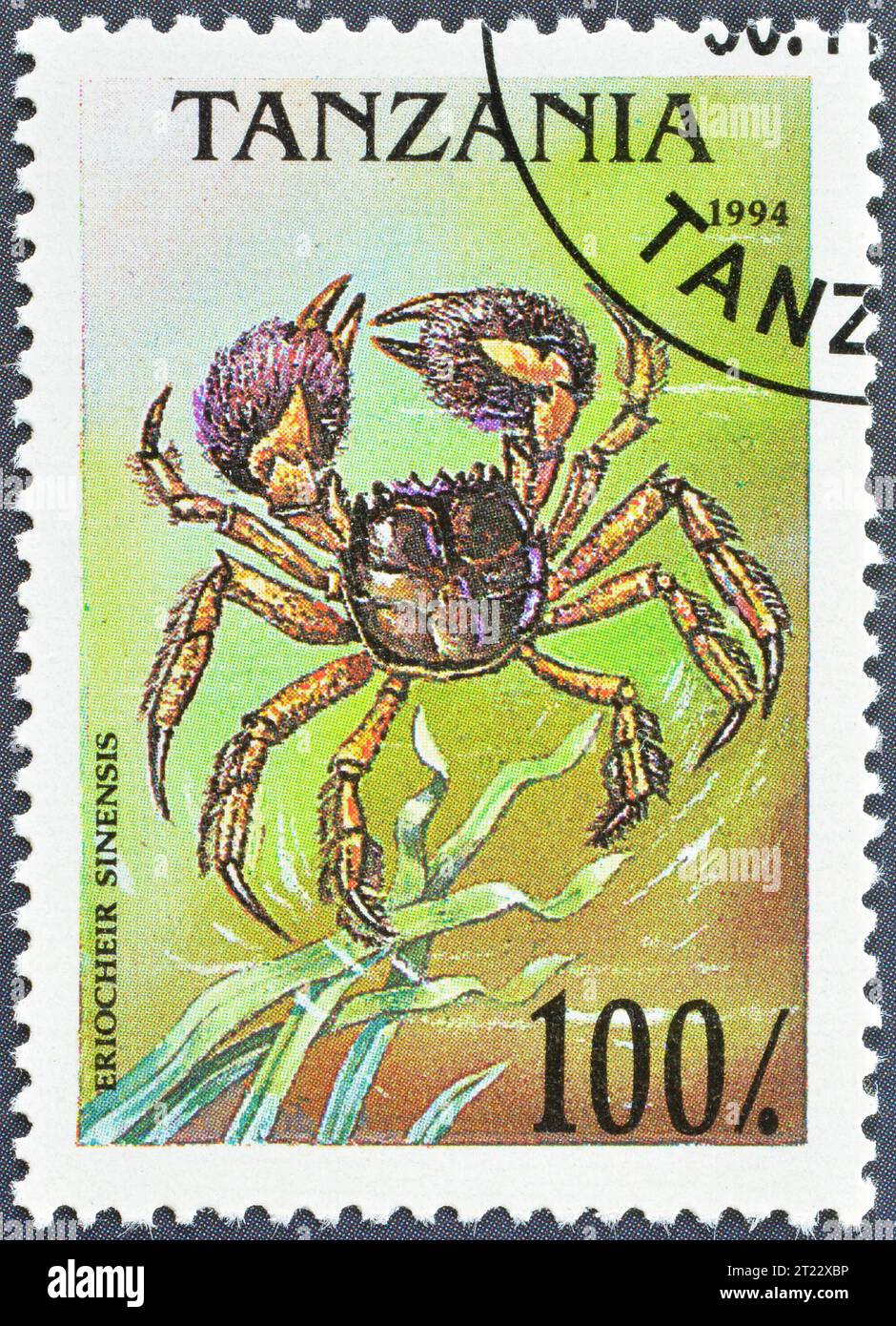 Timbre-poste annulé imprimé par la Tanzanie, qui montre le crabe chinois (Eriocheir sinensis), vers 1994. Banque D'Images