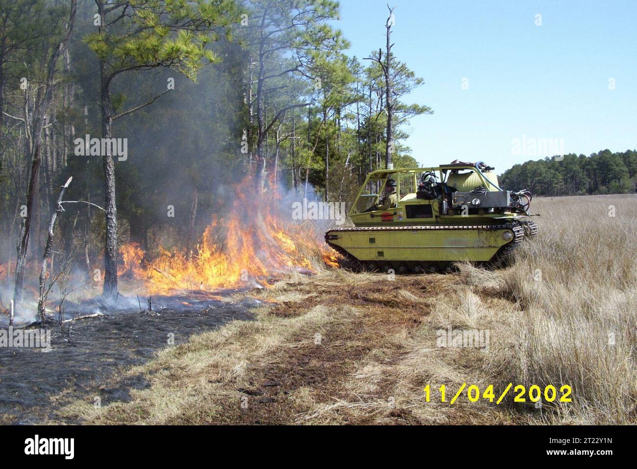 Une opération de gestion des incendies utilisant le brûlage prescrit au refuge national de faune des marais de Chesapeake pour promouvoir la végétation indigène et réduire la croissance des plantes envahissantes. Banque D'Images