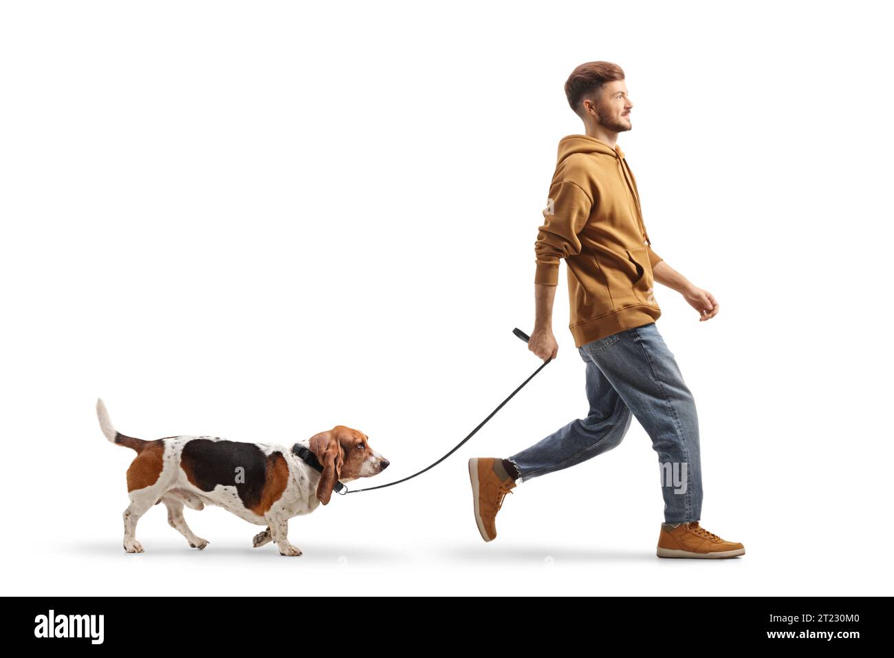 Plan en longueur d'un gars marchant un chien basset sur une laisse isolée sur fond blanc Banque D'Images