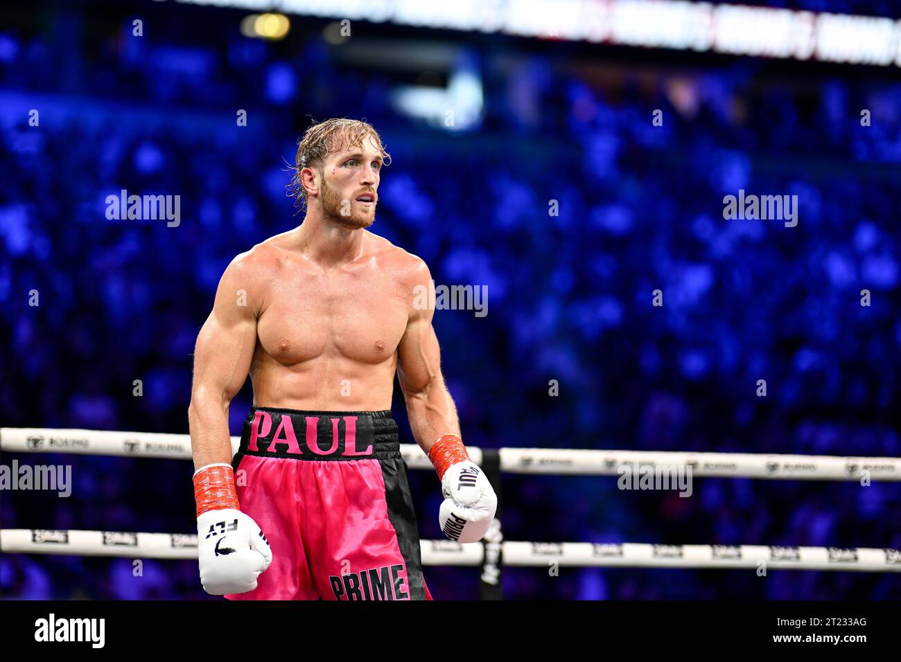 Manchester, Royaume-Uni. Logan Paul combat Dillon Danis lors de Prime Card à Manchester Arena. Paul a gagné par disqualification. Crédit : Benjamin Wareing / Alamy Live News Banque D'Images