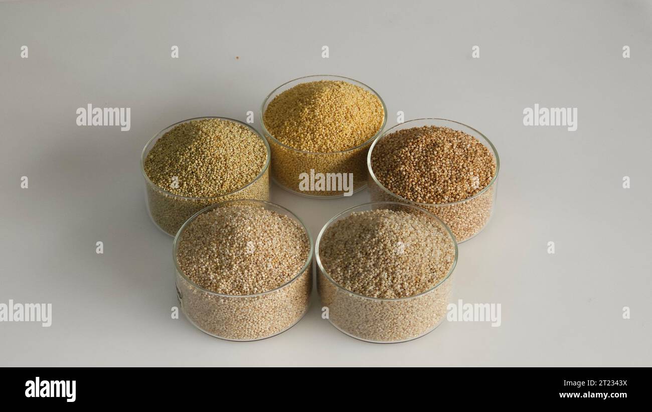Les millet Siridhanya ou cinq mils positifs sont un groupe de cinq grains avec de nombreux bienfaits pour la santé. Il comprend la queue de boeuf, Little, Kodo, Barnyard et Bro Banque D'Images
