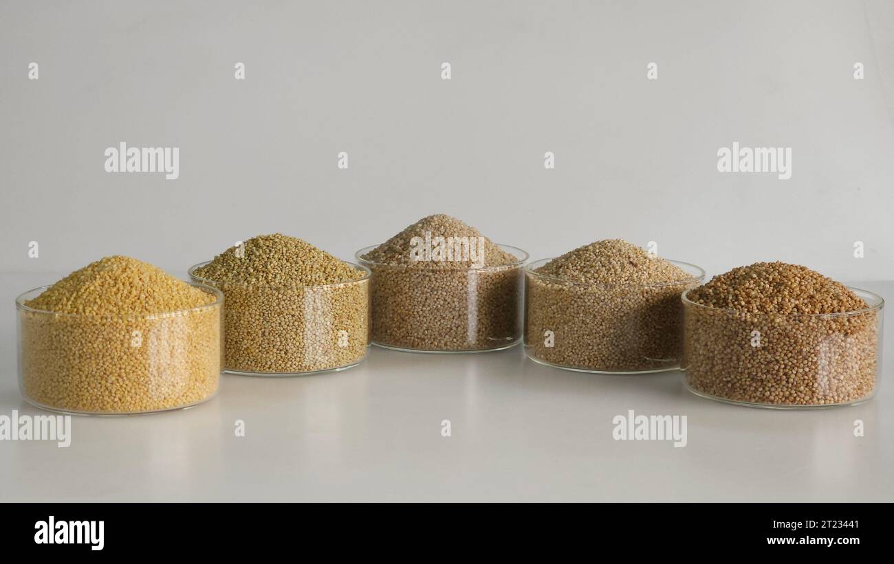 Les millet Siridhanya ou cinq mils positifs sont un groupe de cinq grains avec de nombreux bienfaits pour la santé. Il comprend la queue de boeuf, Little, Kodo, Barnyard et Bro Banque D'Images