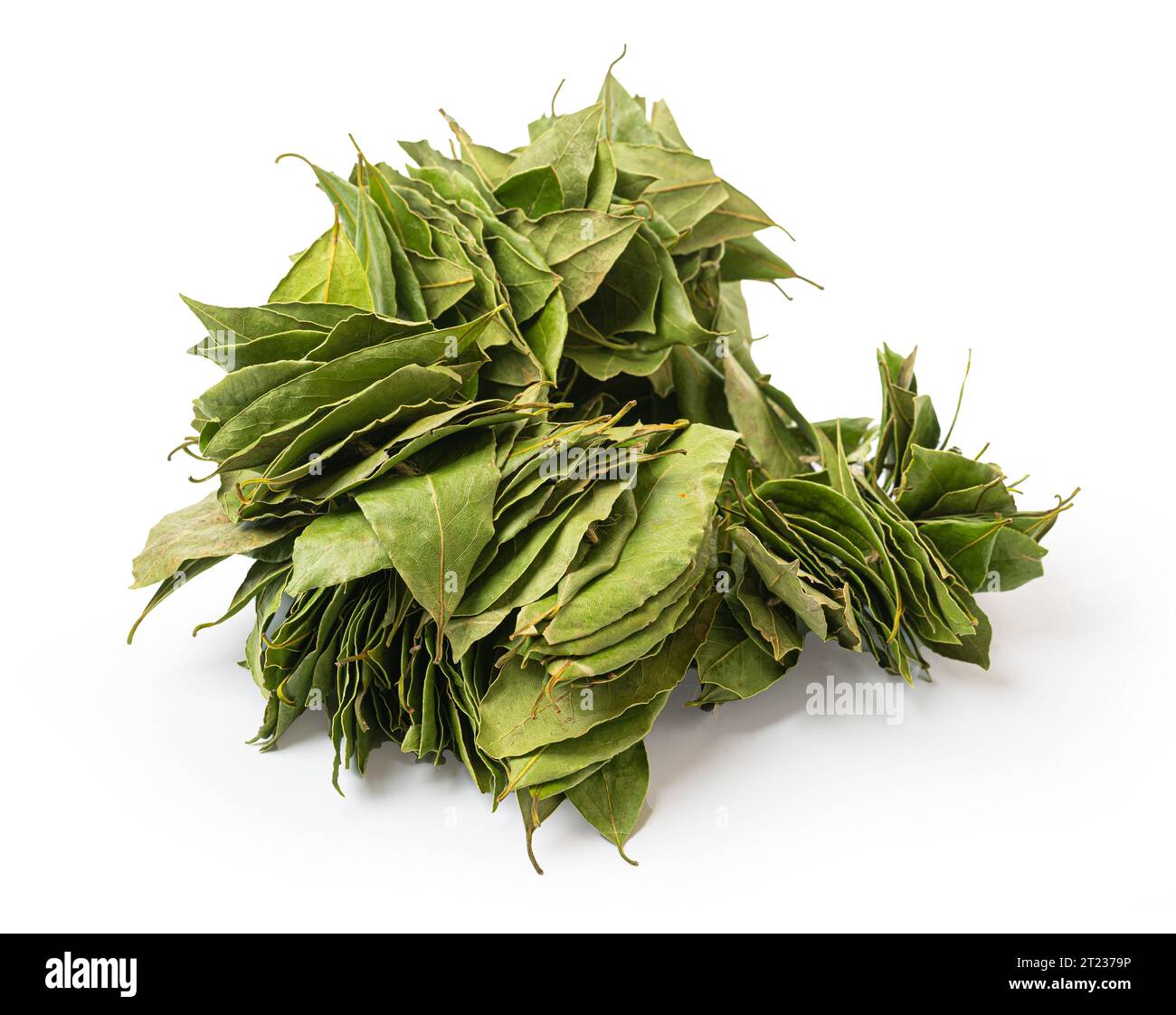 Pile de feuilles de baie aromatiques sur fond blanc Banque D'Images