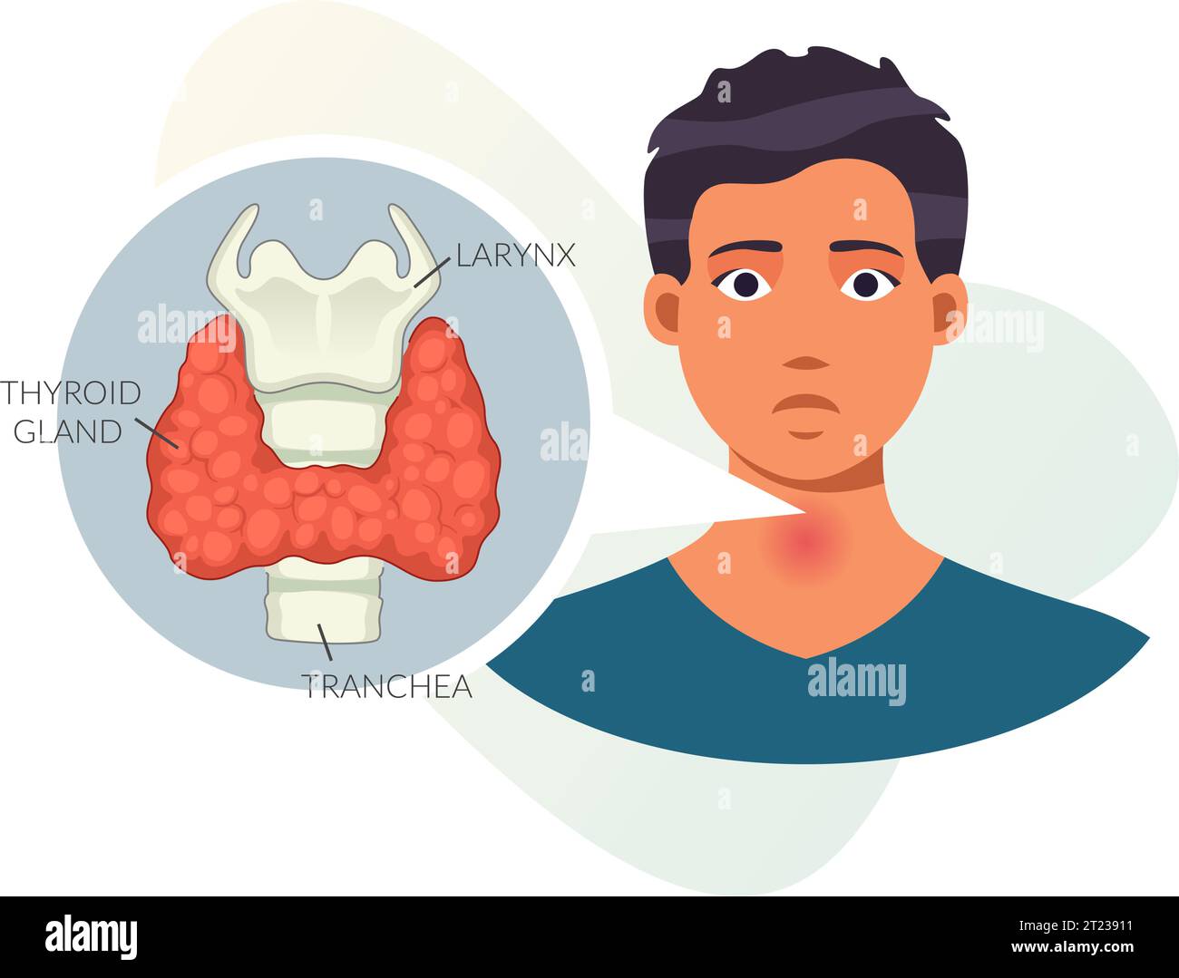 Glande thyroïde - Endocrinologie - icône comme fichier EPS 10 Illustration de Vecteur