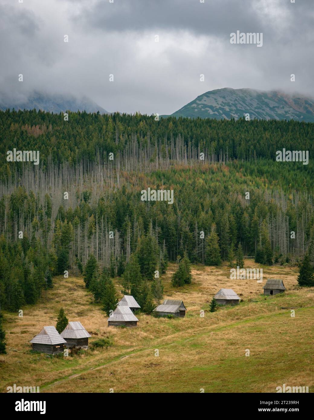 Anciennes cabines à Kopieniec Wielki à Zakopane, Pologne Banque D'Images