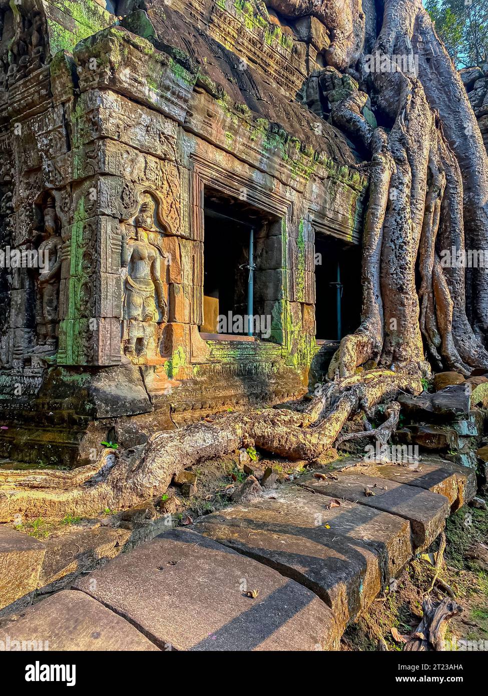 Ta Prohm, un temple mystérieux de la civilisation khmère, situé sur le territoire d'Angkor au Cambodge. Banque D'Images