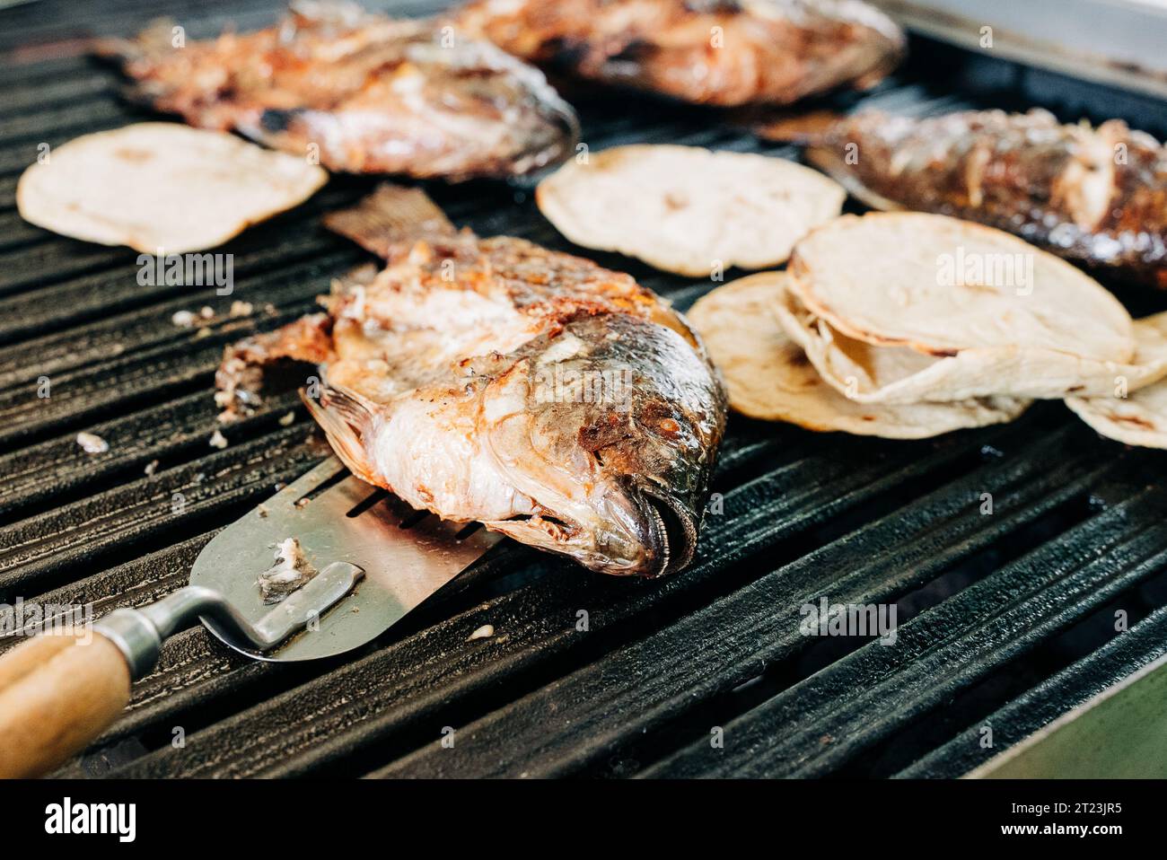 Poisson grillé aux côtés de tortillas sur un barbecue Banque D'Images
