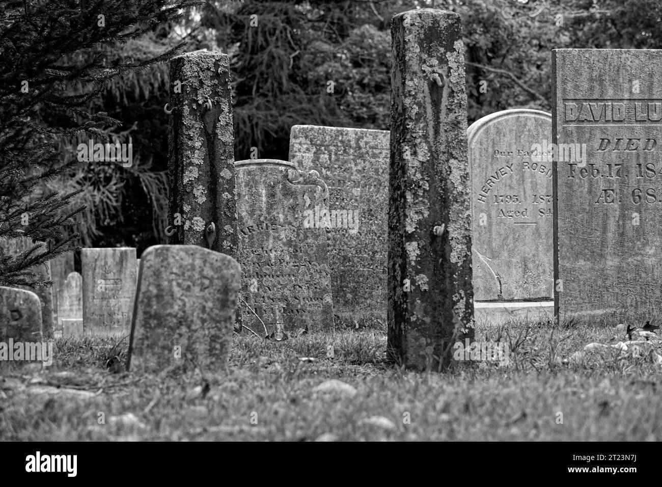 Pierres tombales antiques au cimetière du village de Vineyard Haven, Martha's Vineyard Massachusetts Banque D'Images