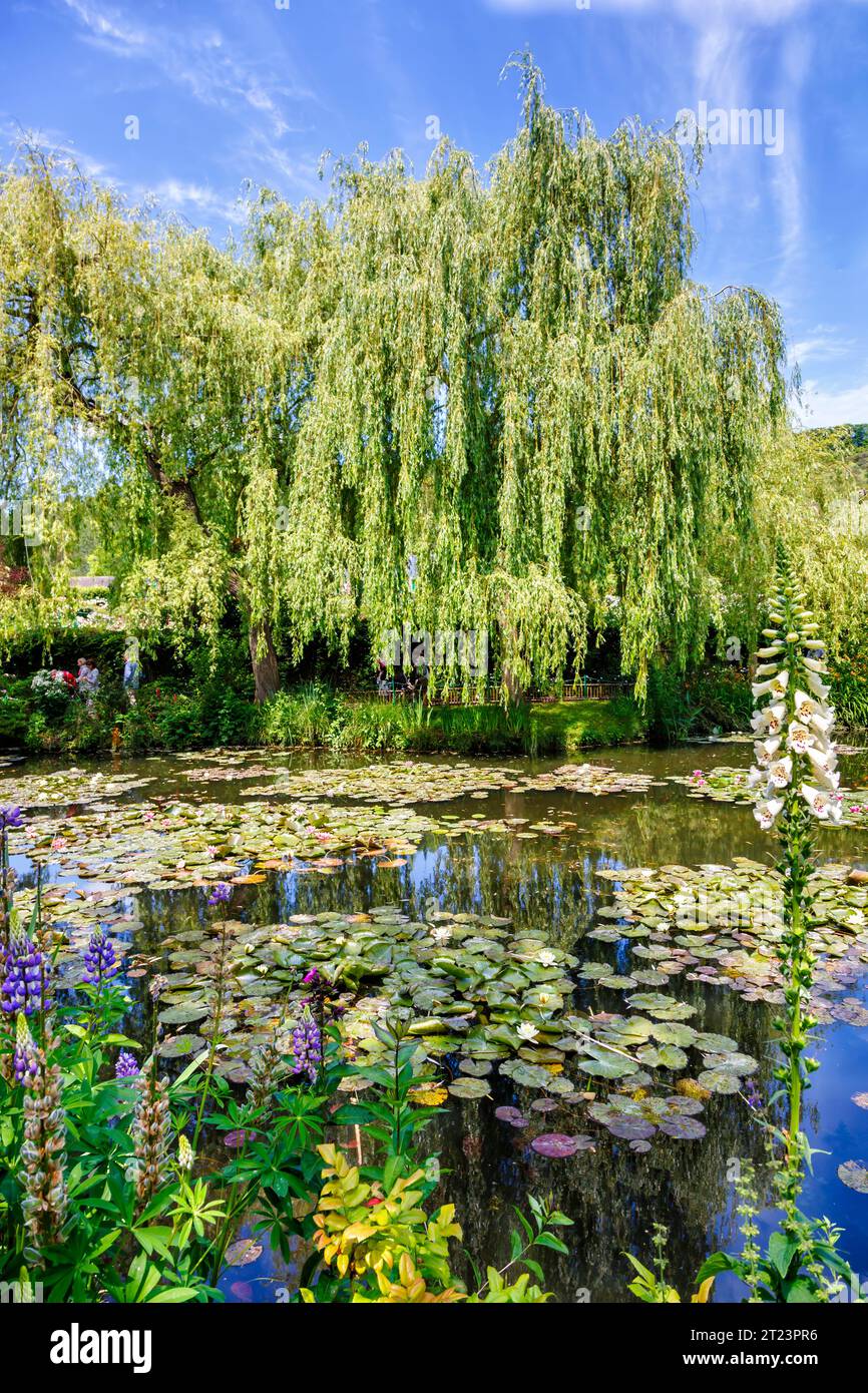 L'emblématique étang aux nénuphars avec des nénuphars et des arbres à Giverny, le jardin du peintre impressionniste français Claude Monet, Normandie, nord de la France Banque D'Images