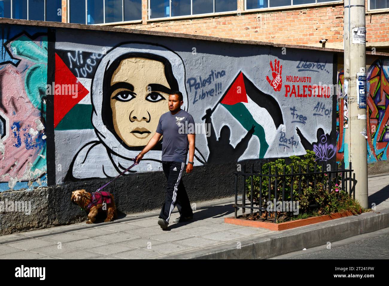 Un homme promène son chien de compagnie devant une fresque montrant son soutien à une Palestine libre et exigeant la fin de l’holocauste palestinien dans le district de Miraflores, à la Paz, en Bolivie. La photo a été prise en septembre 2018. Banque D'Images