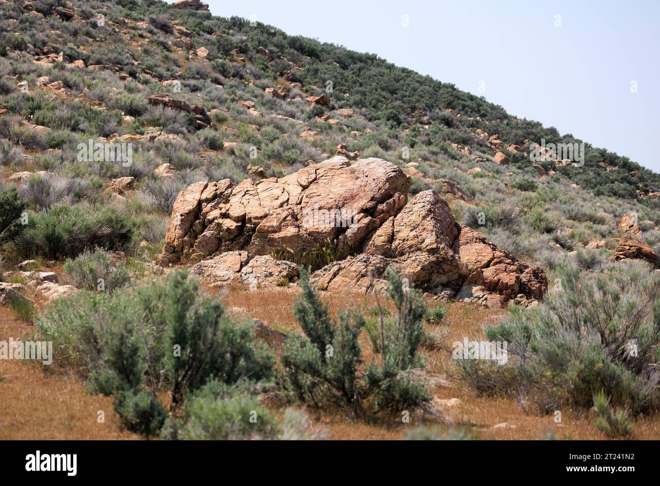 roche brune assise sur une colline désertique, île d'antelope, utah Banque D'Images