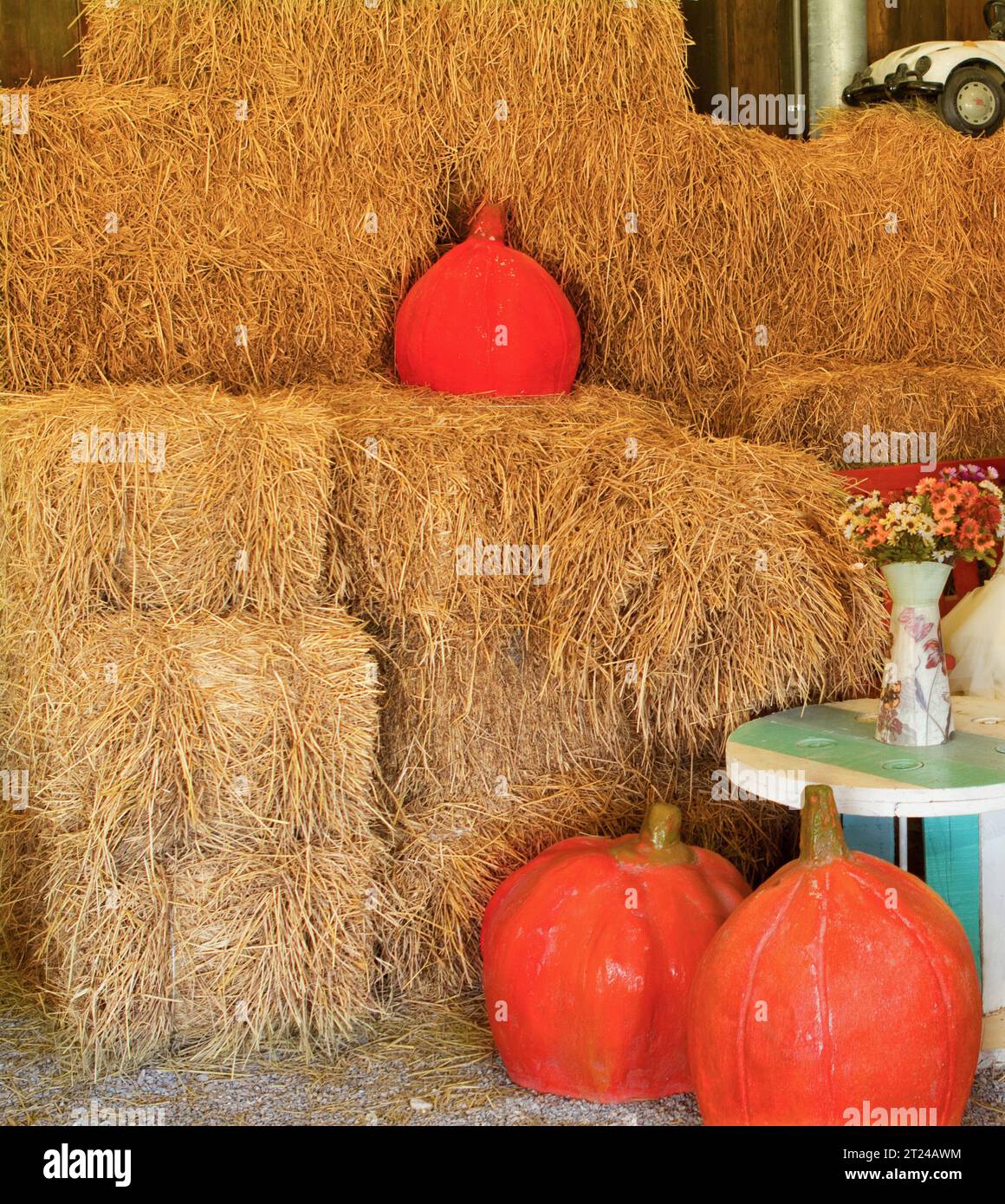 Citrouille orange couchée dans le foin Pumpkin Farmers Market automne récolte de légumes récolte de citrouille saison de citrouille en automne octobre et novembre, récolte Banque D'Images