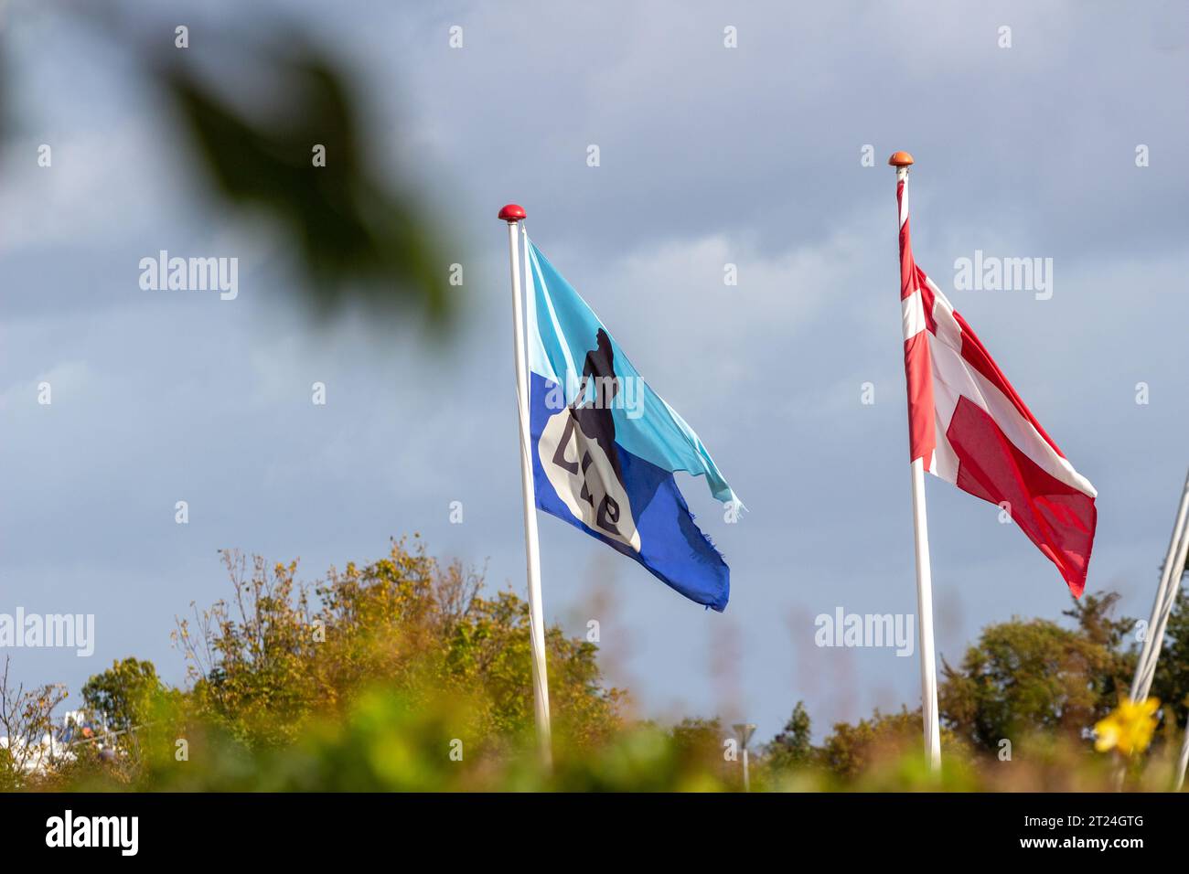 Petite sirène et drapeaux danois Banque D'Images