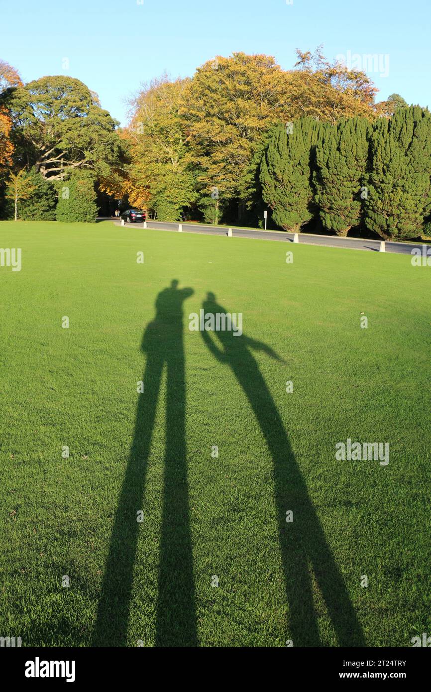 Réfléchissant sur une soirée d'automne tranquille, un couple fait une promenade tranquille dans le parc Banque D'Images