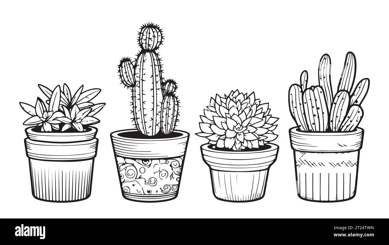Ensemble de cactus dans des pots croquis à la main illustration vectorielle plantes de maison Illustration de Vecteur