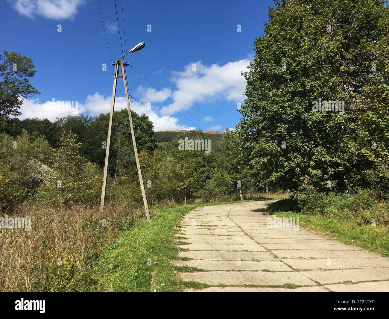 Une route dans la forêt pavée de dalles de béton à côté d'un lampadaire Banque D'Images