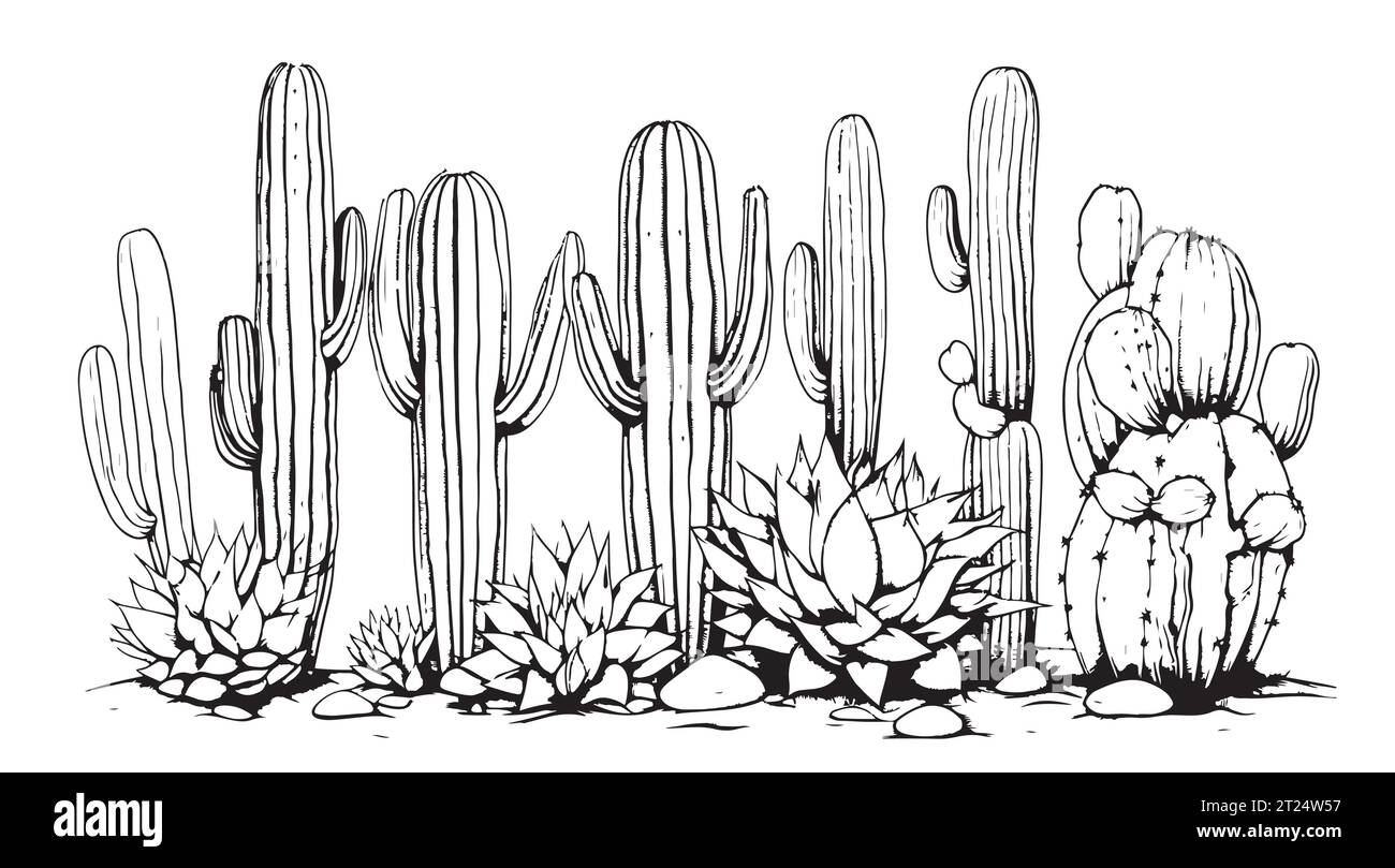 Ensemble de plantes d'illustration vectorielle dessinées à la main de cactus Illustration de Vecteur