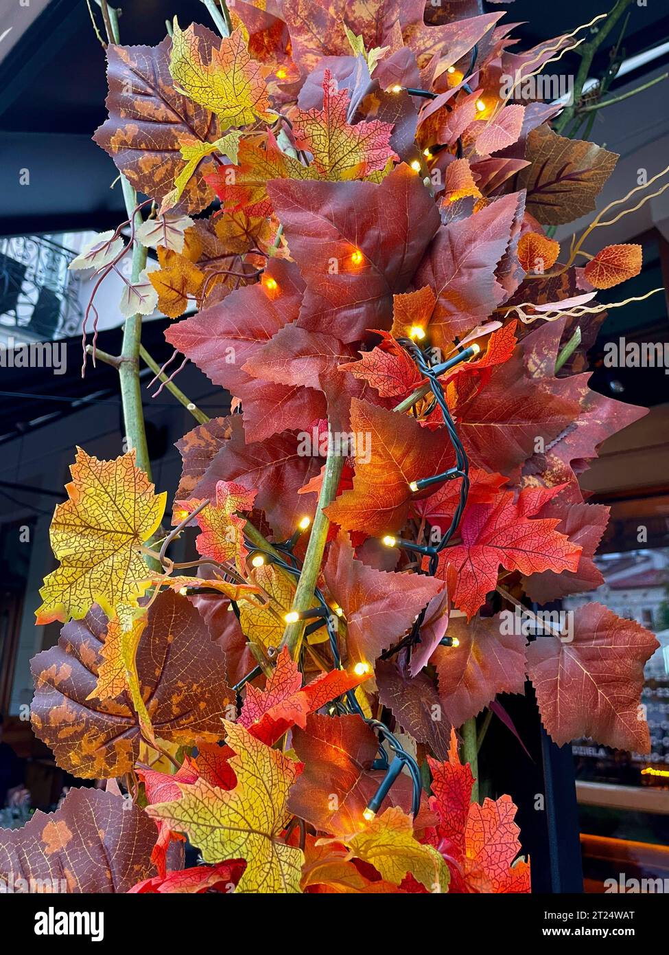 Feuilles colorées d'automne comme décoration Banque D'Images