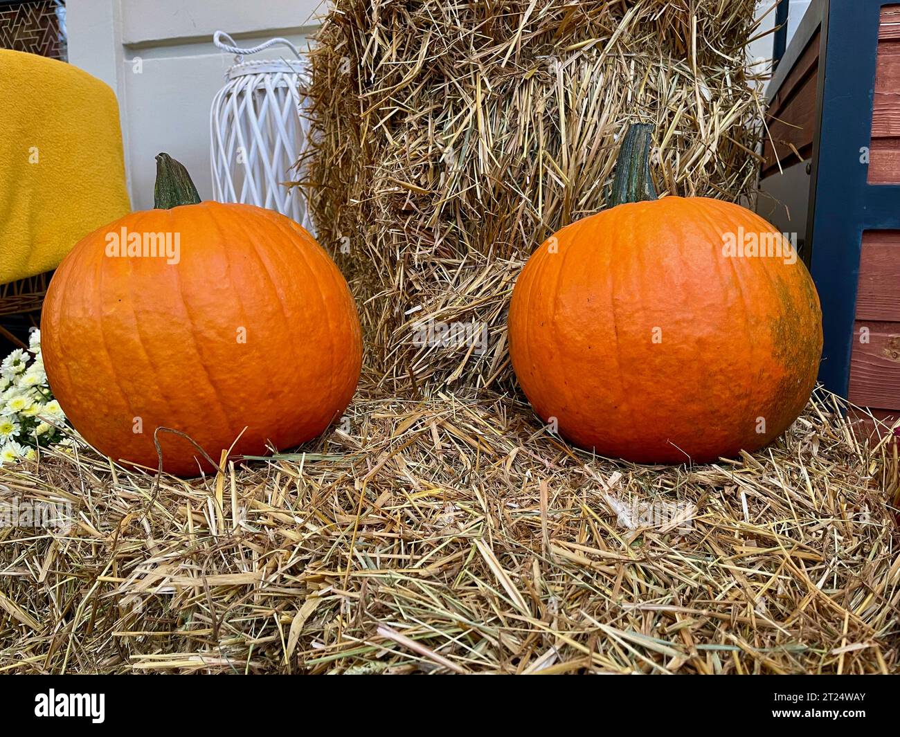 Citrouilles oranges placées à côté d'une gerbe de foin Banque D'Images