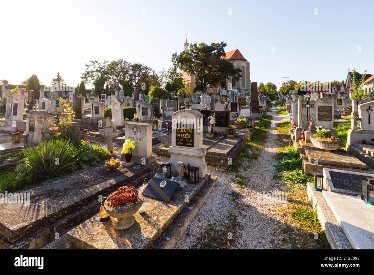 Ancien cimetière Saint-Michel (REGI Szent Mihaly temeto) avec pierres tombales du 20e siècle, Sopron, Hongrie Banque D'Images