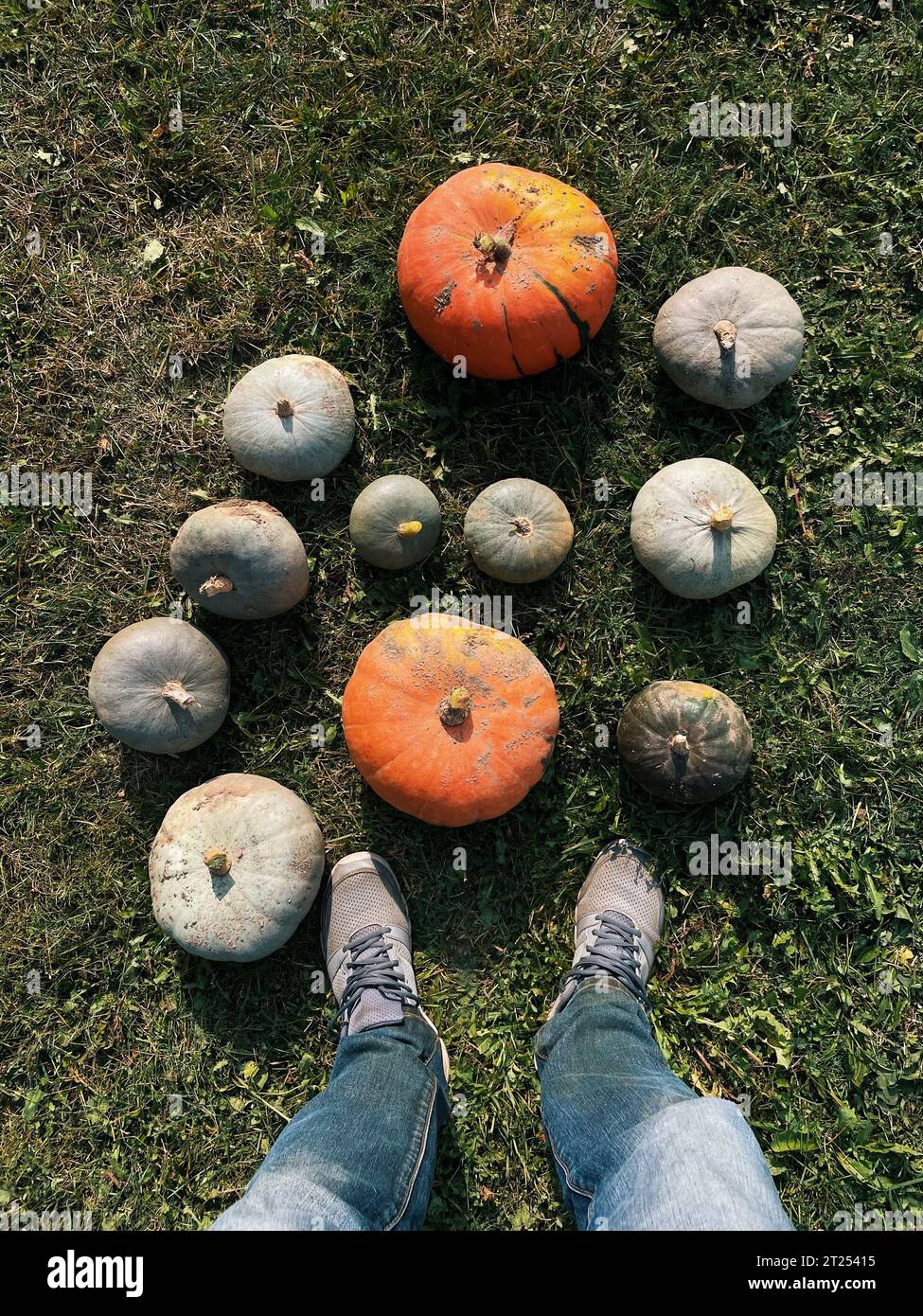 Vue aérienne d'une personne debout devant des citrouilles assorties, Biélorussie Banque D'Images