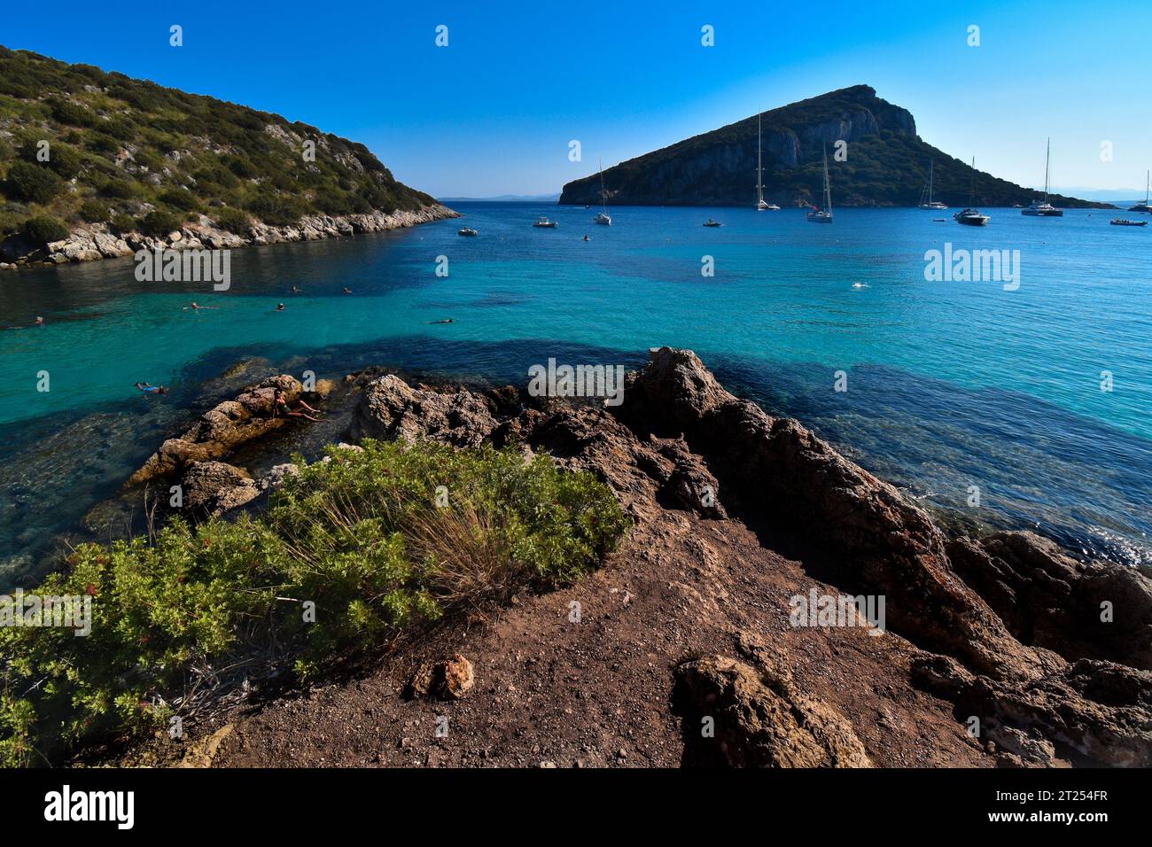 Bateaux ancrés dans la mer, Golfo Aranci, Sassari, Sardaigne, Italie Banque D'Images