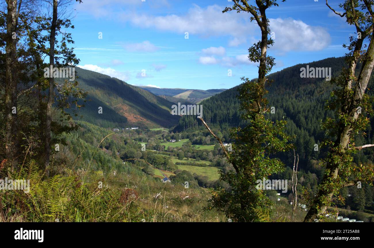 Rolling Hills of Mid-Wales UK Banque D'Images