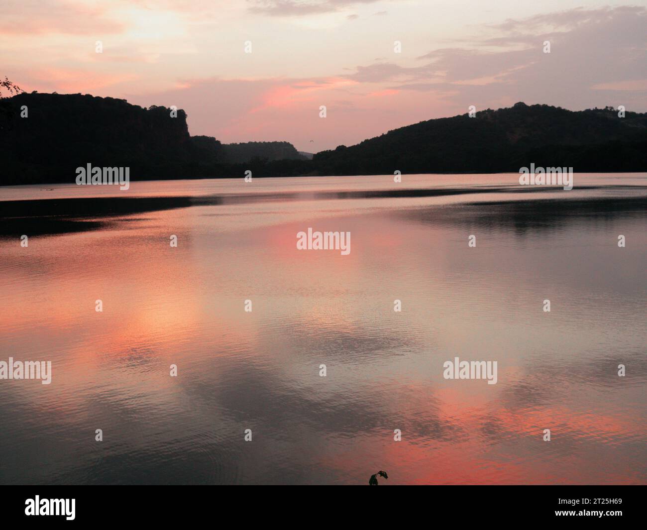 Coucher de soleil sur le lac Padam, Ranthambore, Inde 2019. Banque D'Images