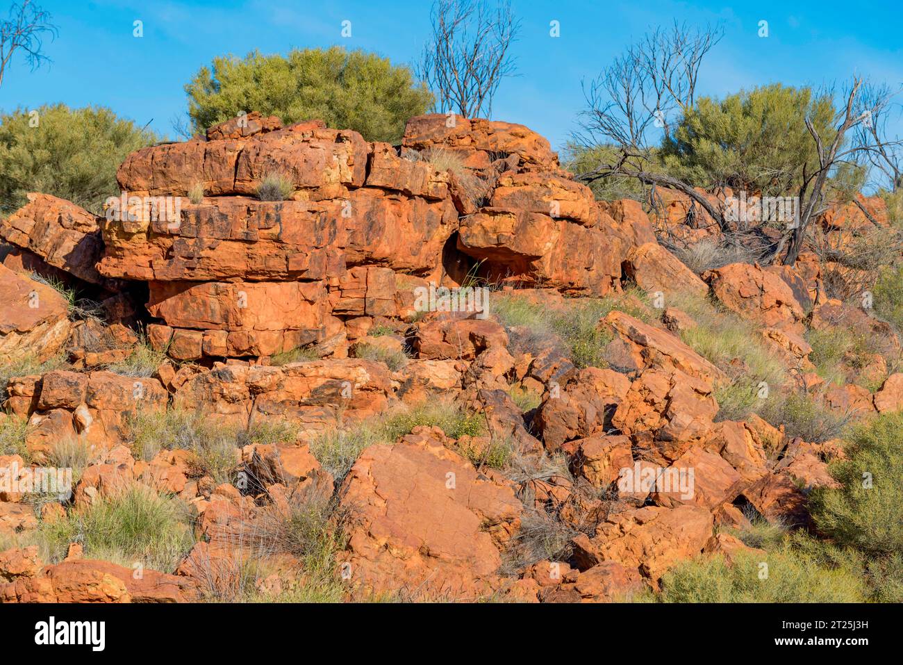 Le grès de Mereenie, le grès de Carmichael et le schiste violet constituent la plupart des formations rocheuses dans la région autour de Kings Canyon Watarrka), NT, Australie Banque D'Images