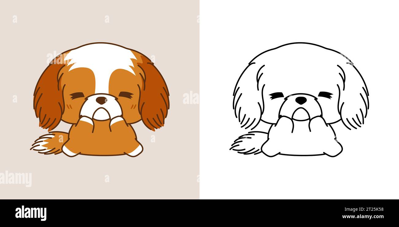 Kawaii Clipart Shih Tzu Dog Illustration et pour Coloriage page. Drôle Kawaii Puppy Illustration de Vecteur