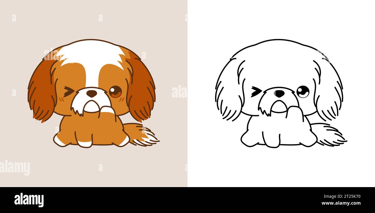 Mignon IsolatedShih Tzu Puppy Illustration et pour Coloriage page. Dessin animé clip Art Dog. Illustration de Vecteur