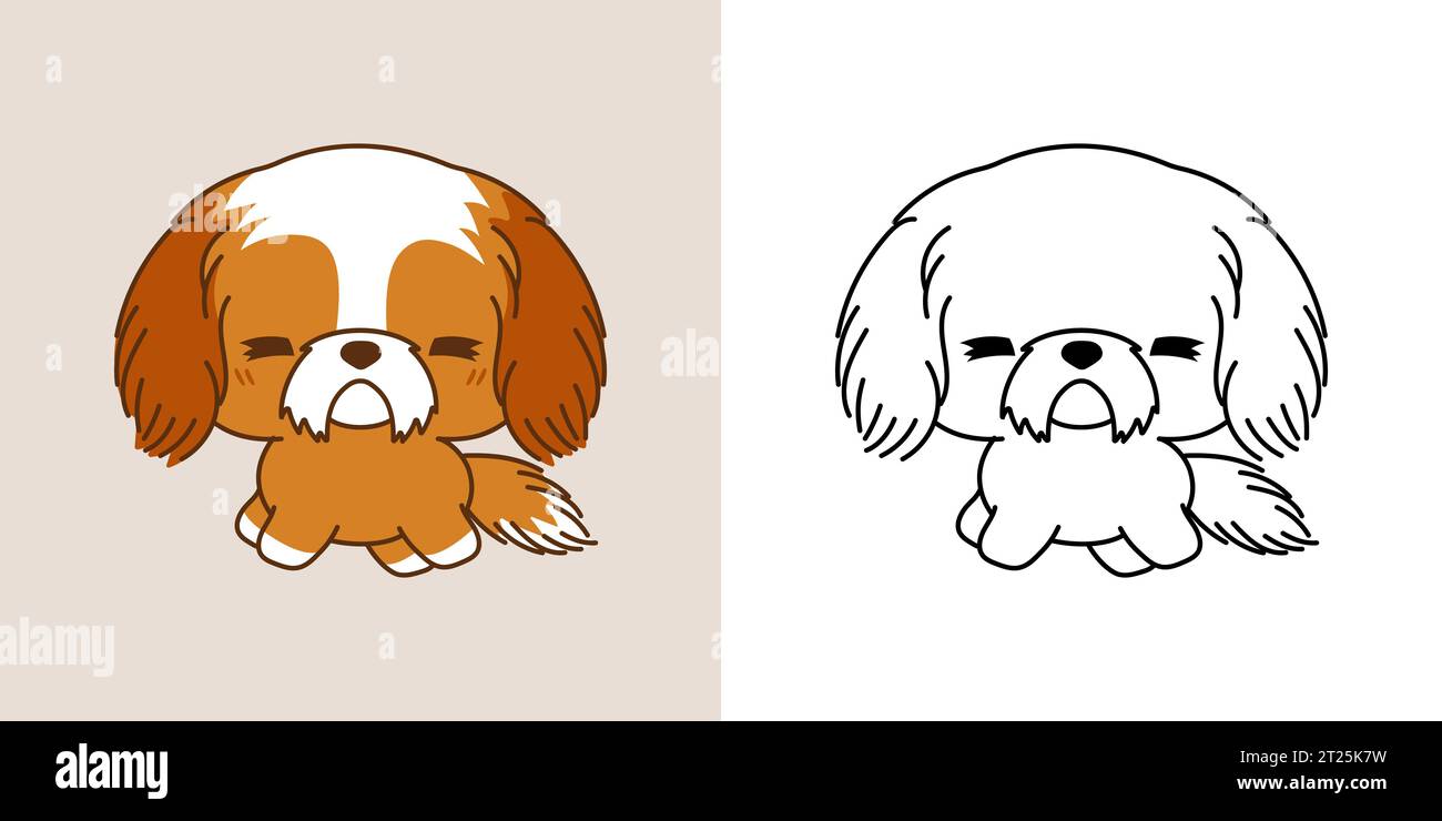 Kawaii Shih Tzu Dog pour la page à colorier et l'illustration. Adorable clip Art Puppy. Illustration de Vecteur