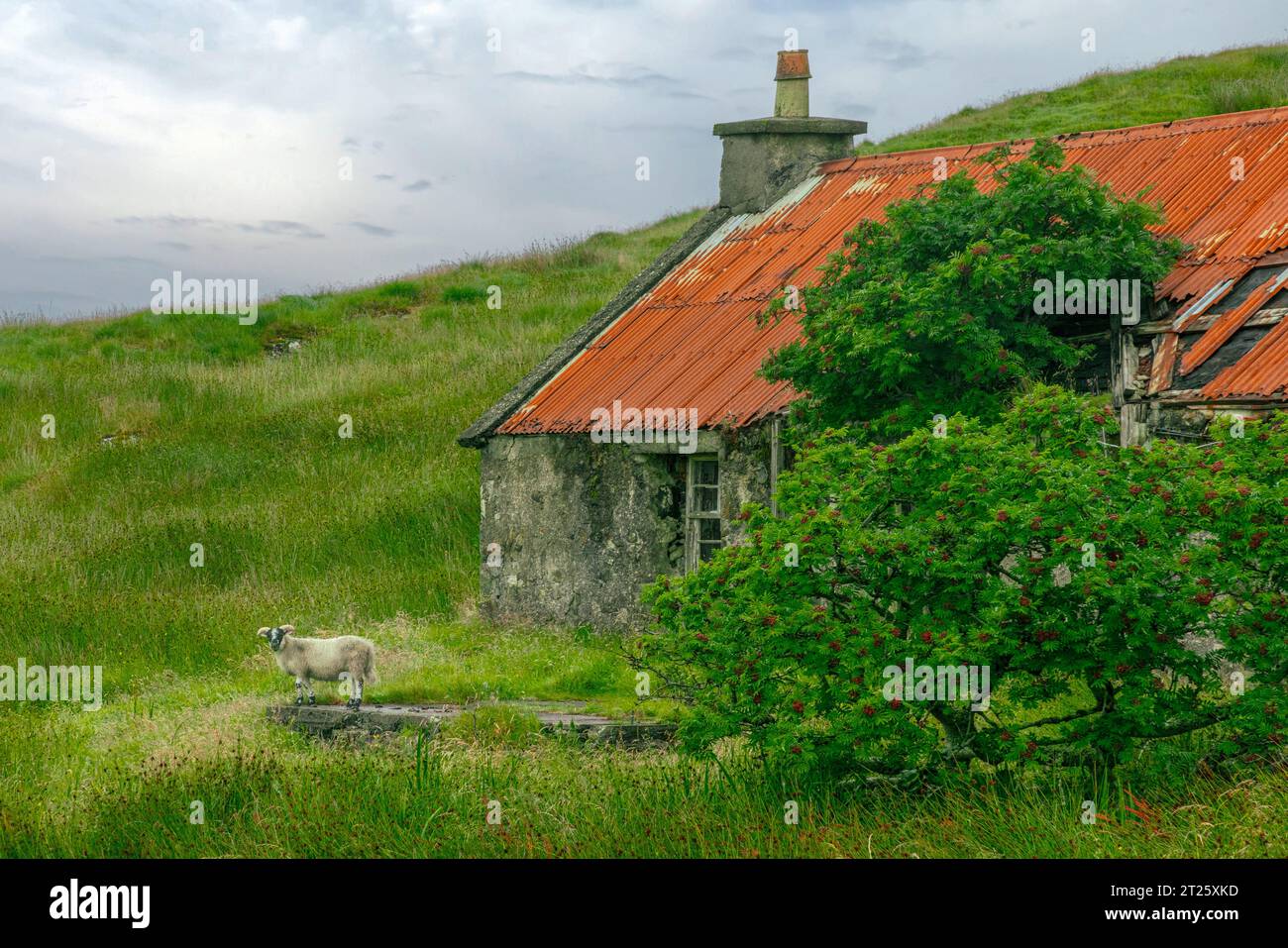 Il y a beaucoup de crofts abandonnés et de lieux perdus dans l'île de Harris. Banque D'Images