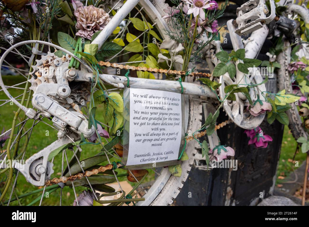 Mémorial de vélo fantôme à Oxford à Ling Felce, un cycliste tué par un camion en 2022 sur le rond-point Plain. Banque D'Images