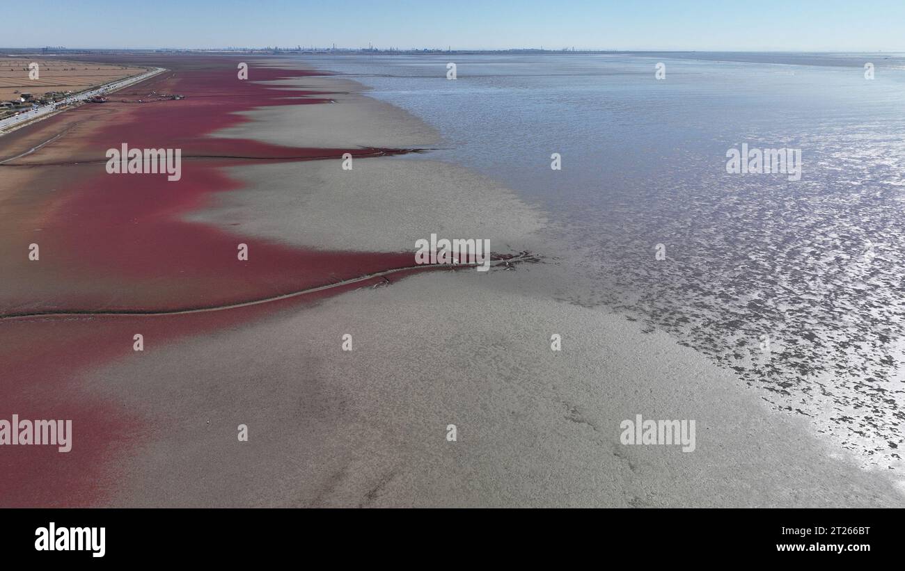 Panjin, Chine. 17 octobre 2023. PANJIN, CHINE - 16 OCTOBRE 2023 - les touristes marchent sur des promenades en bois profitant de la plage rouge dans la ville de Panjin, province du Liaoning, Chine, le 16 octobre 2023. (Photo de CFOTO/Sipa USA) crédit : SIPA US/Alamy Live News Banque D'Images