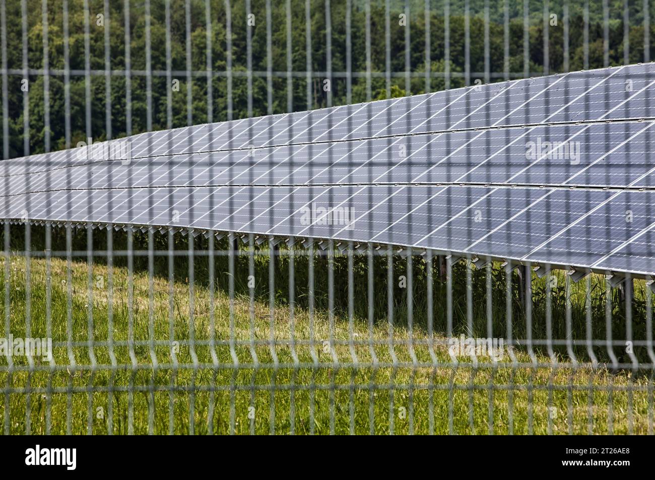 Ferme solaire, près d'Uslar, district de Northeim, Weser Uplands, sud de la Basse-Saxe, Allemagne, Europe Banque D'Images