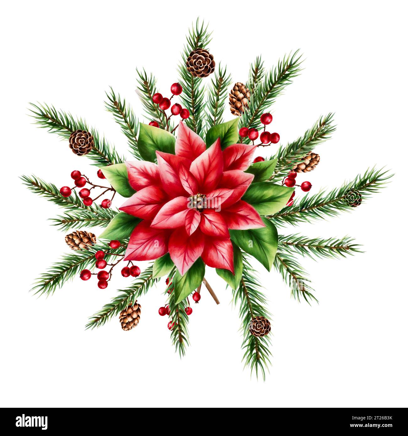 Aquarelle poinsettia de noël, branche d'épinette et de pin, cèdre, sapin et cône de mélèze. Illustration botanique du nouvel an de baies rouges réalistes isolées Banque D'Images