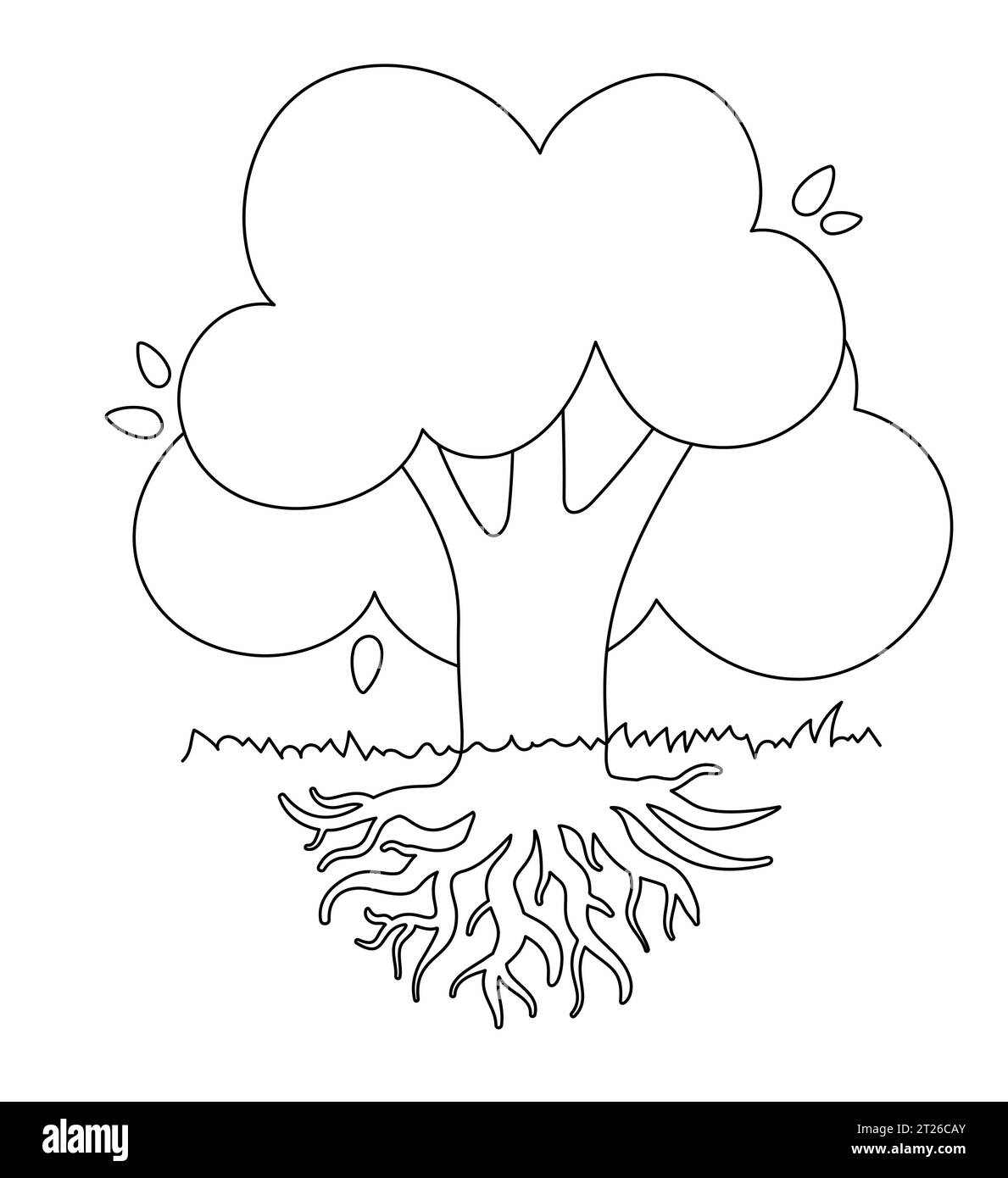Dessin noir et blanc d'arbre à feuilles caduques avec un grand système racinaire de krone. Silhouette de ligne pour la coloration d'enfant. Image vectorielle isolée. Illustration de Vecteur