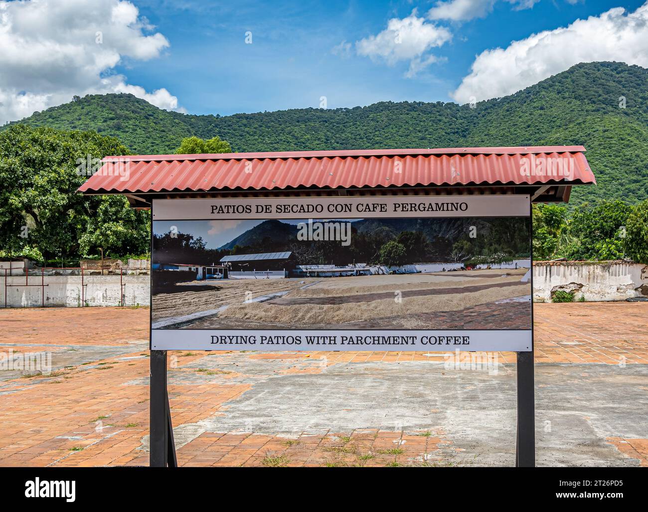 Guatemala, la Antigua - 20 juillet 2023 : Finca la Azotea Musées. Cour de séchage des grains de café avec signe et photo à l'avant contre jungle verte couverte Banque D'Images