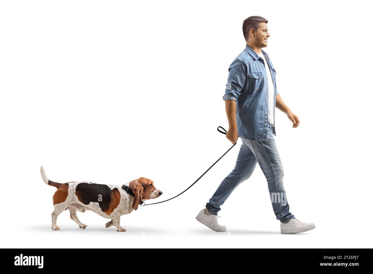 Plan en longueur d'un jeune homme promenant un chien de chien de basset sur une laisse isolée sur fond blanc Banque D'Images